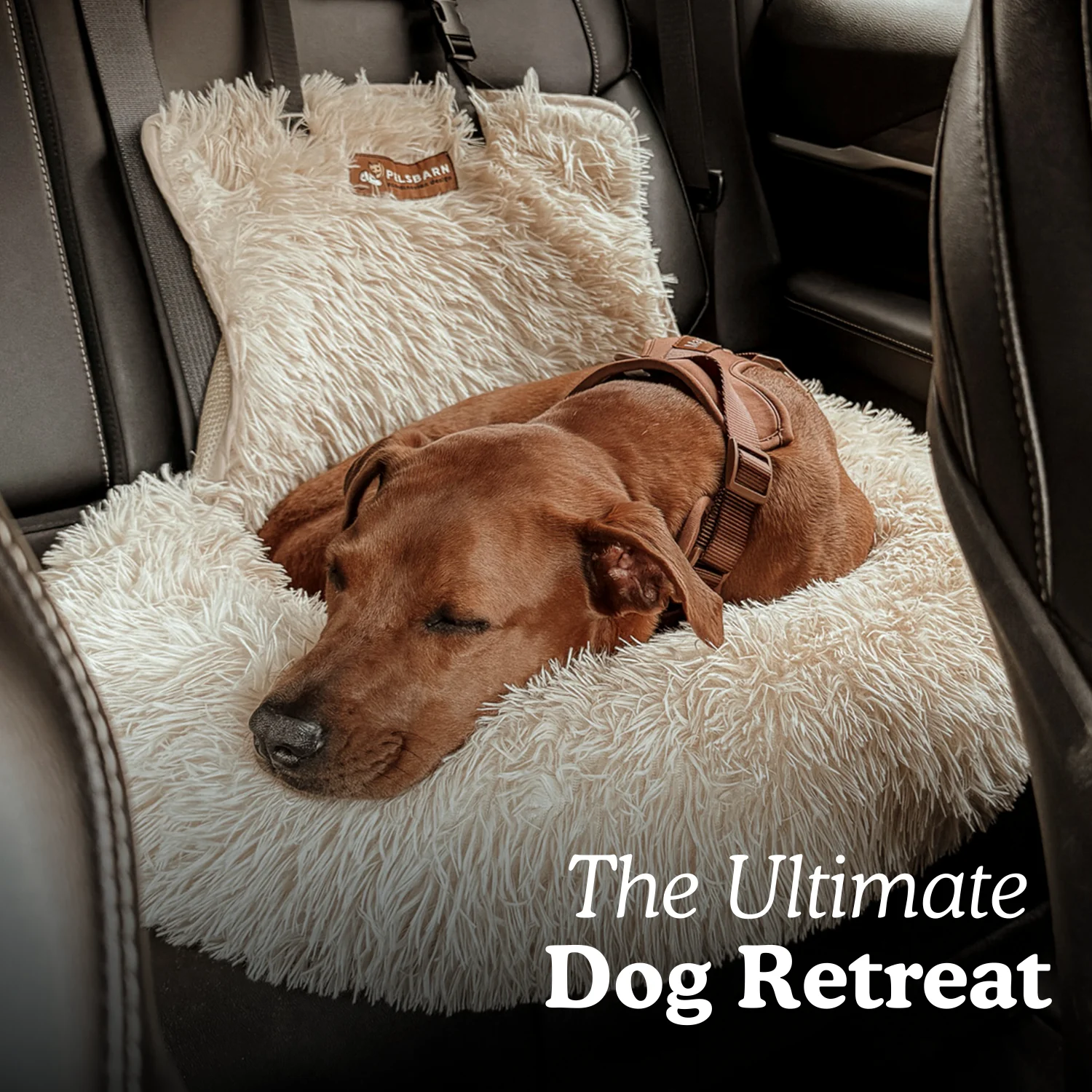 imgi 88 Fluffy Car Bed Calming Bed Product Page 1c2f09a4 e0e7 4921 9a05 eb2d9e5f9fcf