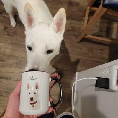Mod Paws: Custom Art and Gifts to Your Pet. 2 imgi 37 testimonials arianna