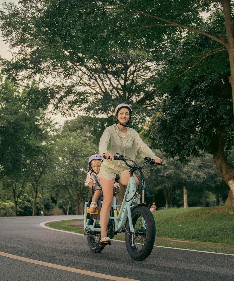 imgi 205 electric bike